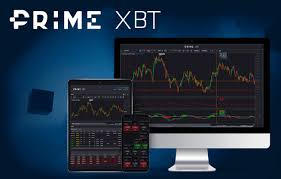 Exploring the Benefits of PrimeXBT BR Wallet for Traders